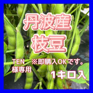 TEN　※即購入OKです。様専用商品です！(野菜)