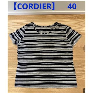 コルディア(CORDIER)の【CORDIER】コルディア 40 サイズ　Tシャツ(Tシャツ(半袖/袖なし))