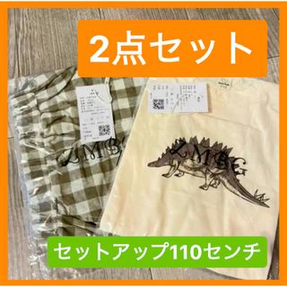 【一点のみ！】セットアップ 恐竜プリント ユニセックス チェック柄 キャンプにも(Tシャツ/カットソー)