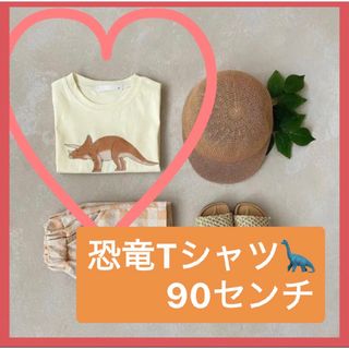 【一枚限定！】恐竜プリントTシャツ ユニセックス 双子コーデ キャンプにも！(Tシャツ/カットソー)