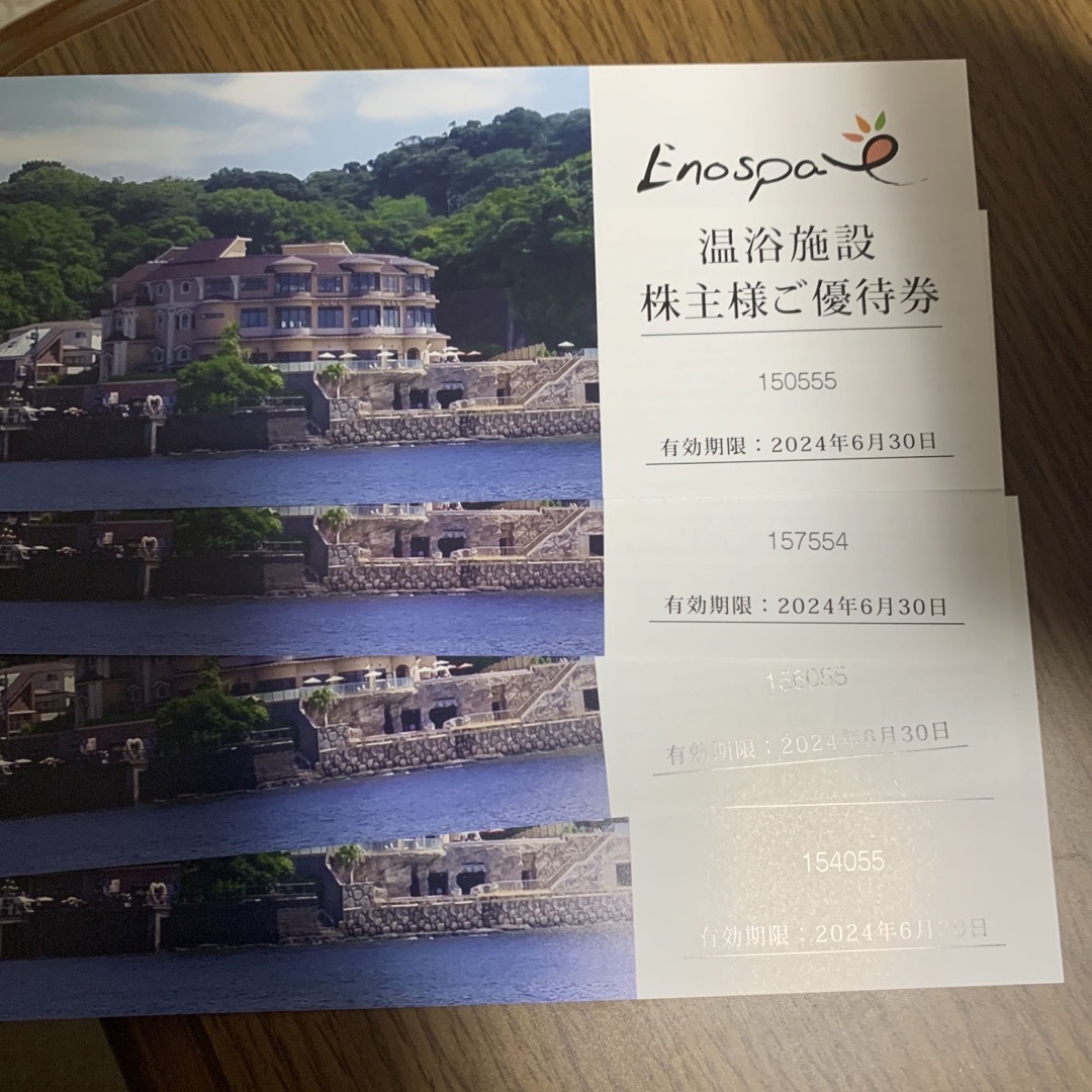 飯田グループホールディングス 江の島アイランドスパご優待券 チケットの施設利用券(その他)の商品写真