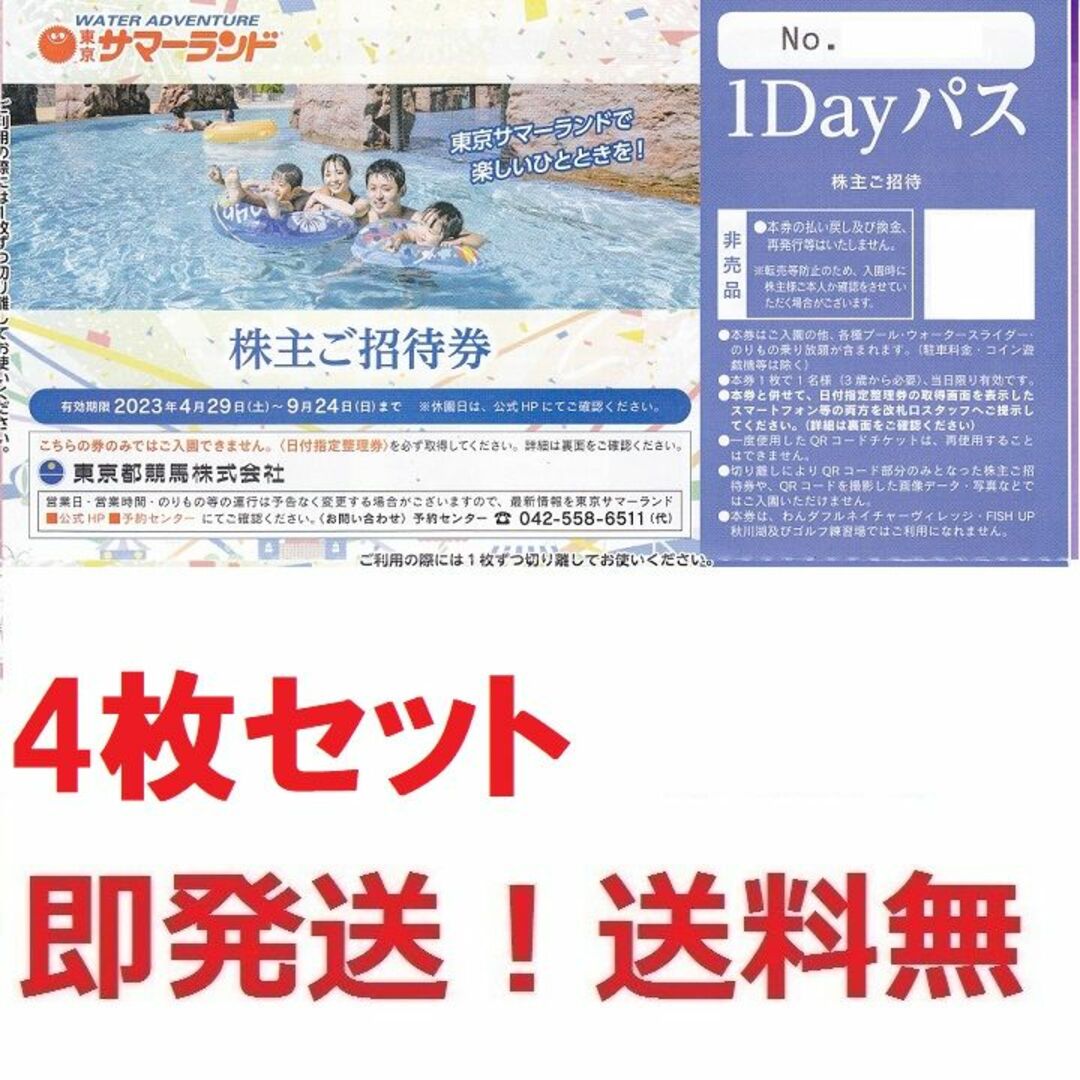 東京サマーランド  1DAYパス  5枚