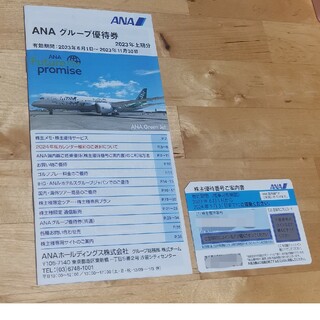 エーエヌエー(ゼンニッポンクウユ)(ANA(全日本空輸))のANA株主優待券1枚(航空券)