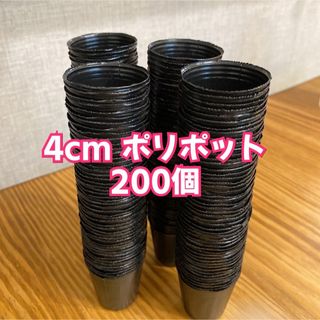 ＊4cmポリポット＊200個(その他)