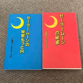 セ－ラ－ム－ンの秘密 美少女戦士たちのプライヴァシ－(その他)