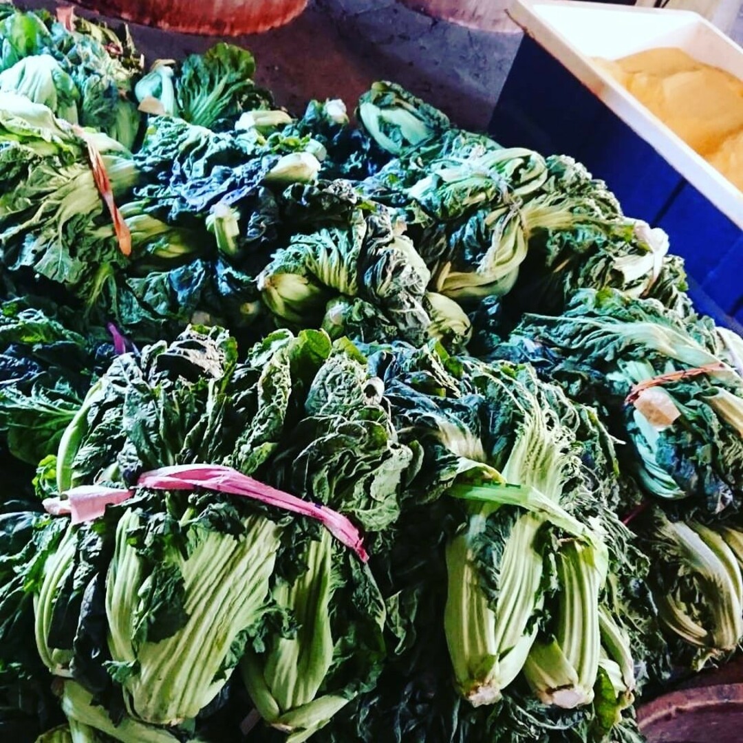 まつきの髙菜 国産 高菜漬 油炒め ★ご飯のお供 おにぎり ラーメンにも♪ 食品/飲料/酒の加工食品(漬物)の商品写真