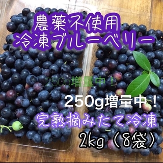 【出品記念増量中】農薬不使用　自家産　冷凍ブルーベリー(フルーツ)