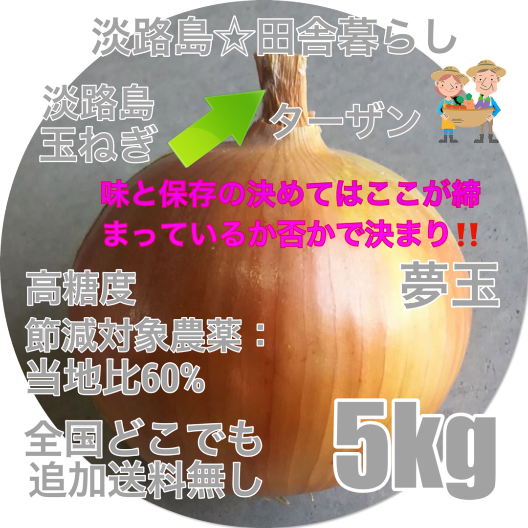 淡路島産玉ねぎ 秀品5kg ターザン 高糖度 減農薬  夢玉 タマネギ たまねぎ 食品/飲料/酒の食品(野菜)の商品写真