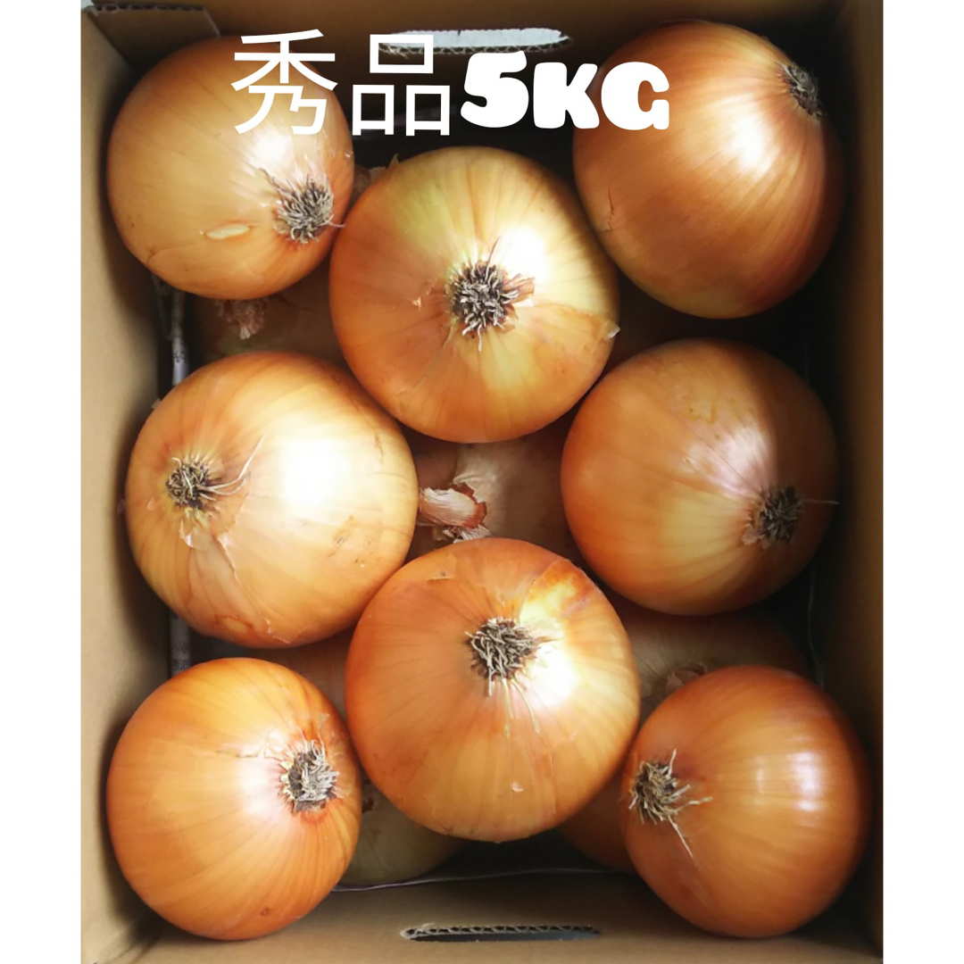 ◉秀品Lサイズ5Kg◉淡路島新玉ねぎ たまねぎ 玉葱 ふるさと割 - 野菜