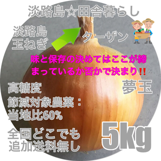 淡路島産玉ねぎ 秀品5kg ターザン 高糖度 減農薬  夢玉 タマネギ たまねぎ(野菜)