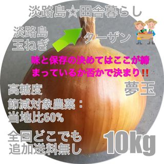 淡路島産玉ねぎ 10kg秀品 ターザン 高糖度 減農薬 夢玉 タマネギ たまねぎ(野菜)