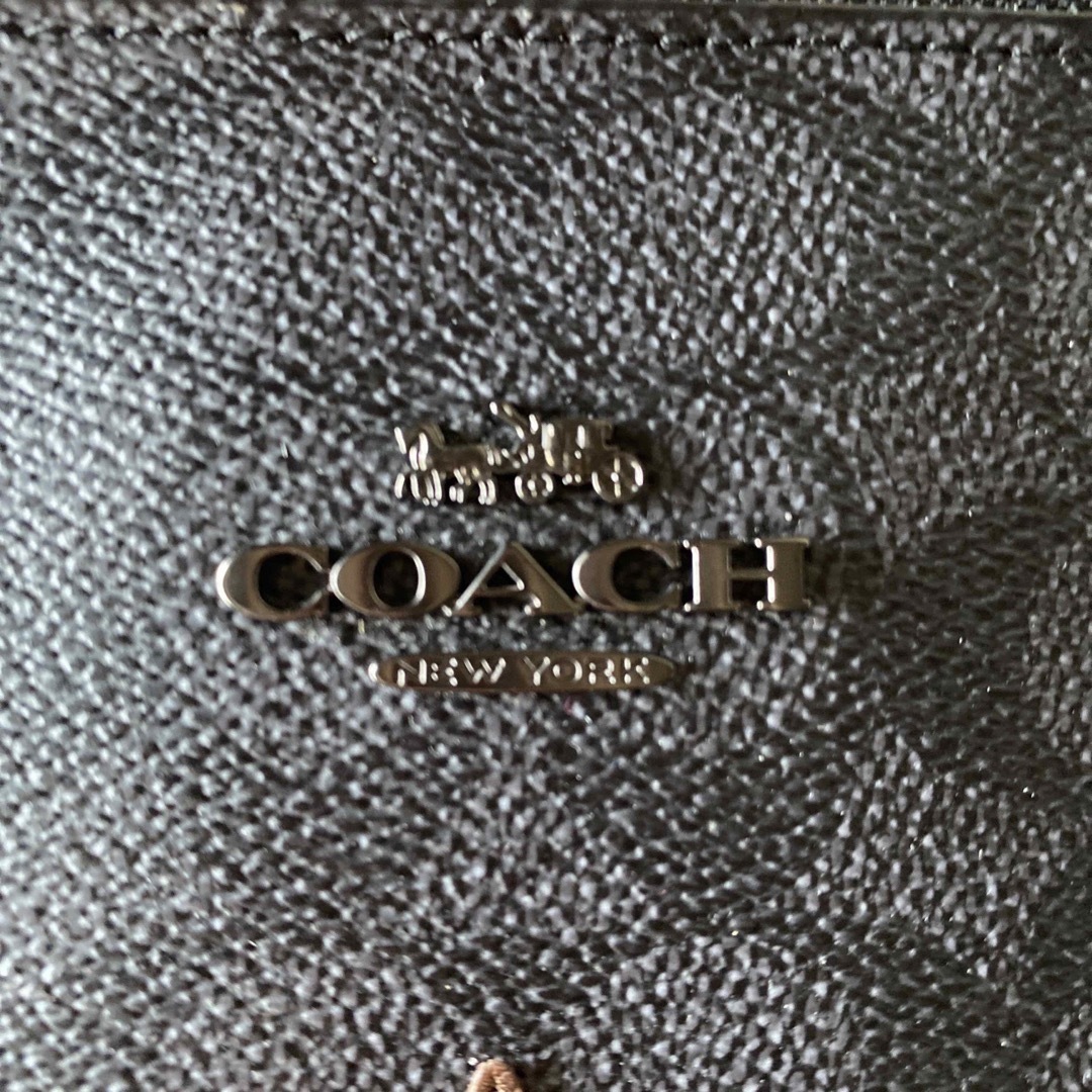 COACH(コーチ)の限定コーチラージ リストレット 30 シグネチャー キャンバス スター  メンズのバッグ(セカンドバッグ/クラッチバッグ)の商品写真