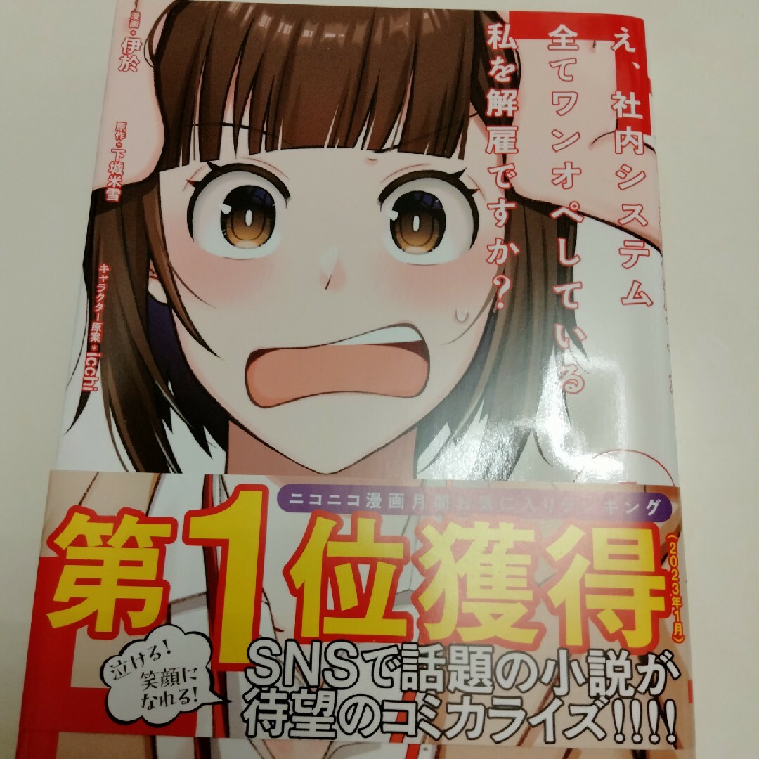 え、社内システム全てワンオペしている私を解雇ですか？ １ エンタメ/ホビーの漫画(その他)の商品写真