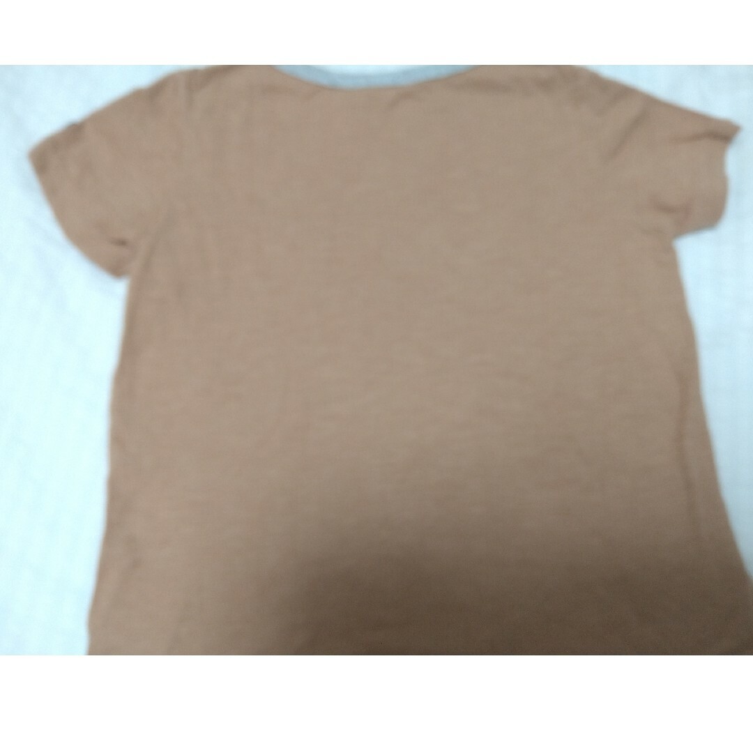 DOUBLE.B(ダブルビー)のダブルB　恐竜 Tシャツ　サイズ120 ミキハウス キッズ/ベビー/マタニティのキッズ服男の子用(90cm~)(Tシャツ/カットソー)の商品写真