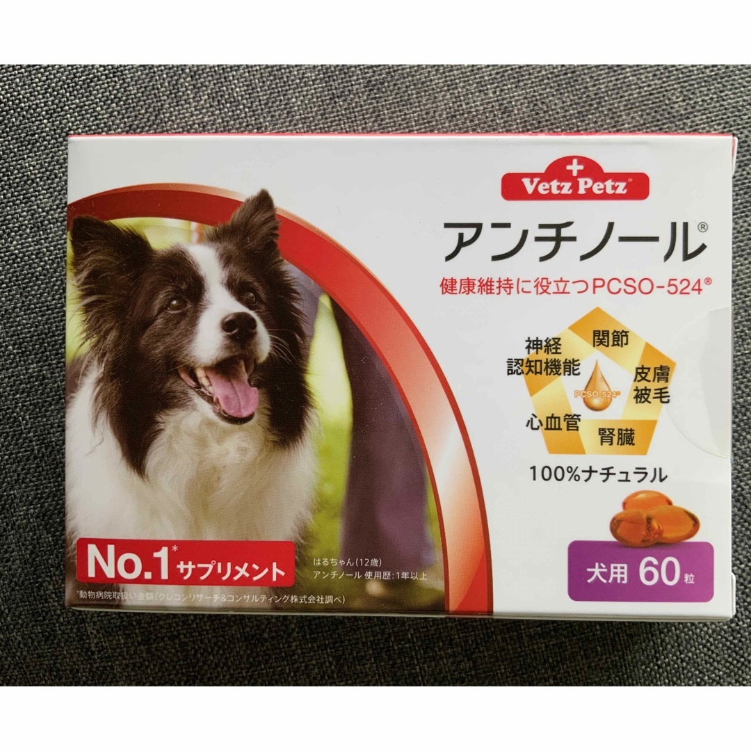 アンチノール 【 新品未開封 】 犬用 60粒 ★値下げしました★