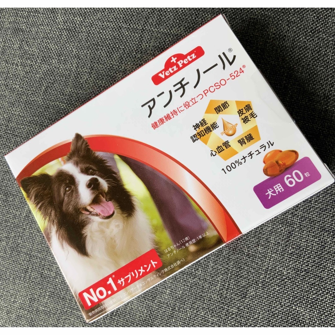 犬用アンチノール60粒