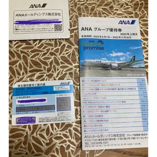 エーエヌエー(ゼンニッポンクウユ)(ANA(全日本空輸))のANA 優待券　半額券　株主優待券　飛行機(その他)