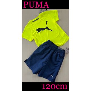 プーマ(PUMA)の新品タグ付き　120㎝  PUMAプーマ上下セットアップ　イエロー×ネイビー(Tシャツ/カットソー)