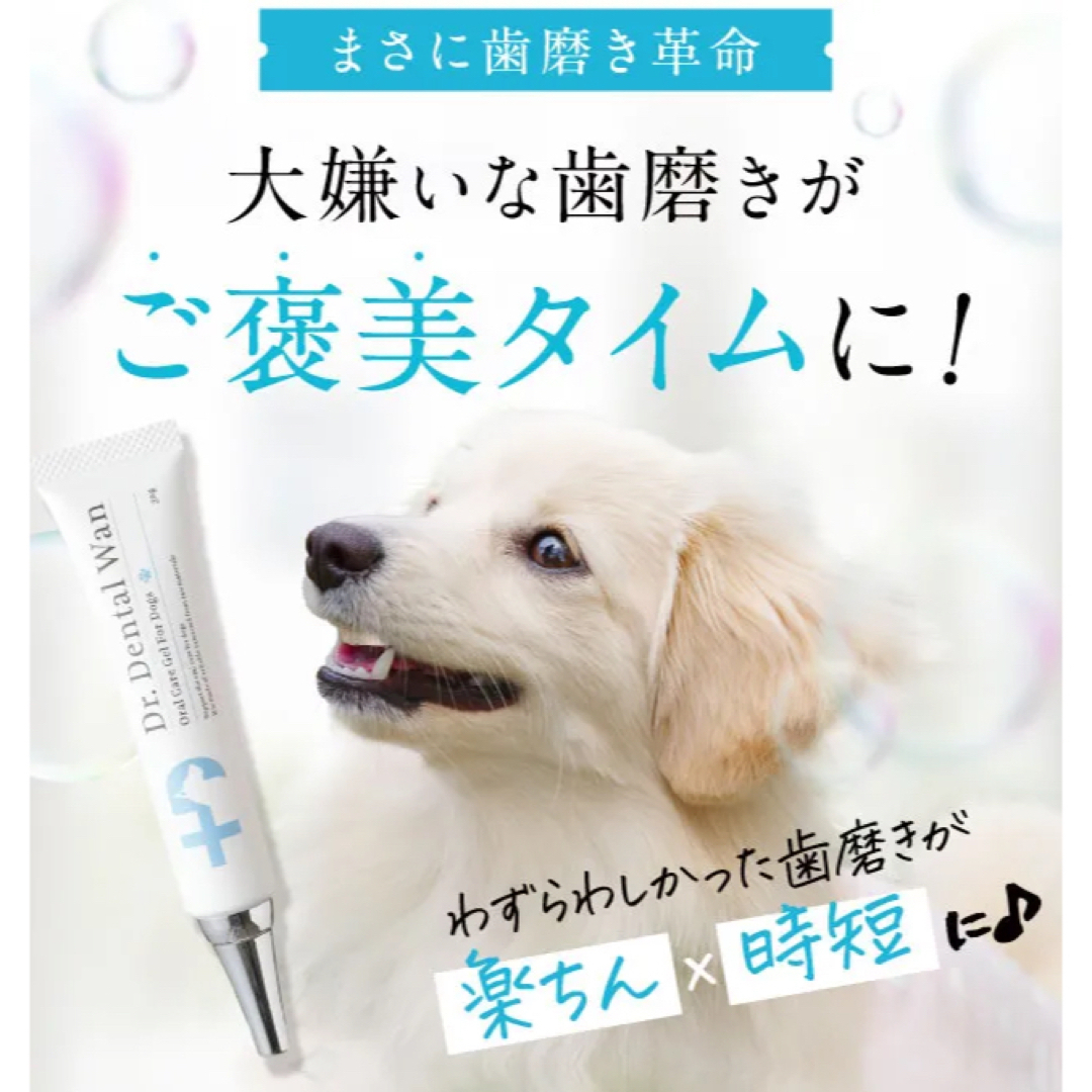 Dr.Dental Wan ドクターデンタルワン　 その他のペット用品(犬)の商品写真