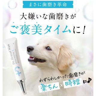 Dr.Dental Wan ドクターデンタルワン　(犬)