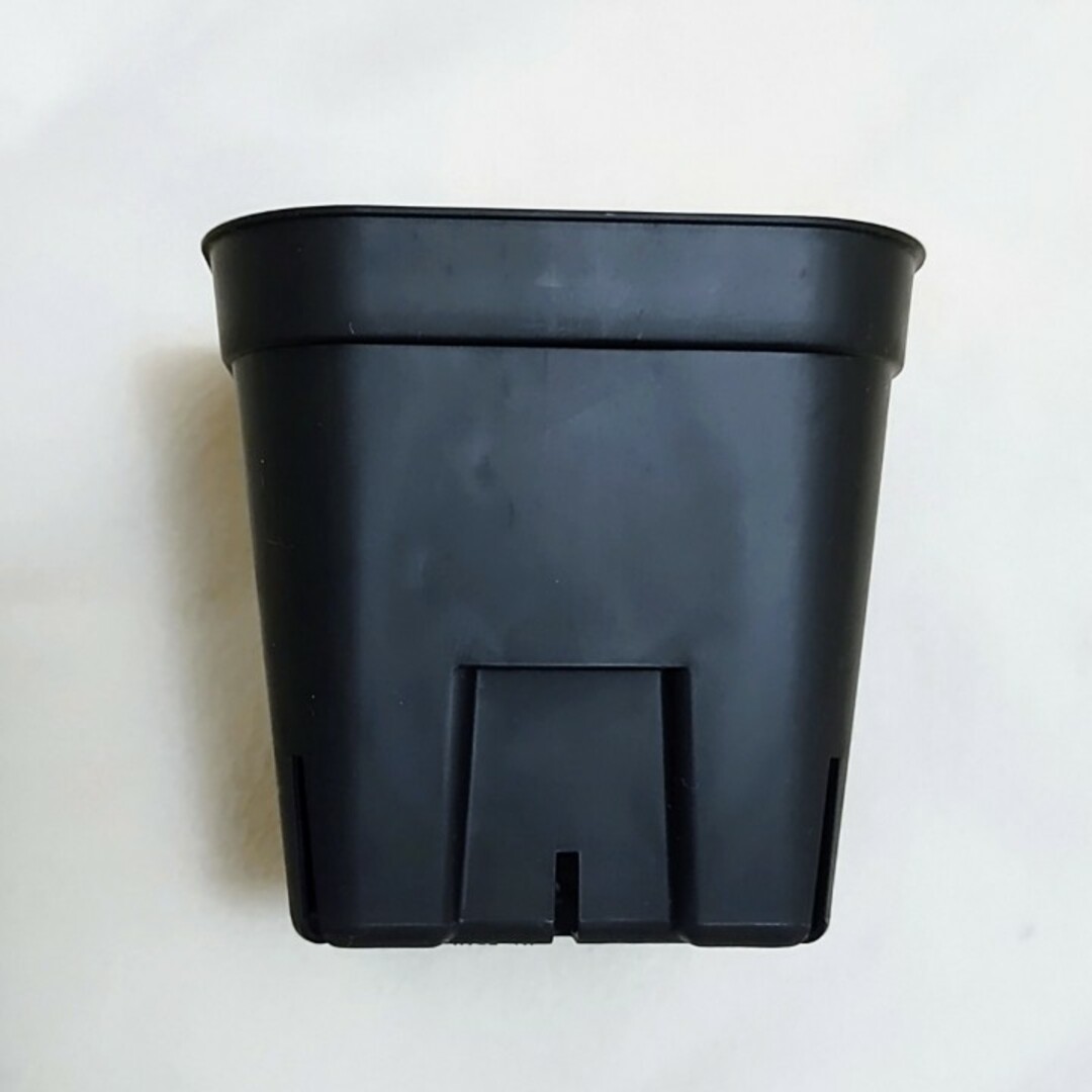 【スリット鉢】プレステラ90黒30個 多肉植物 プラ鉢 ハンドメイドのフラワー/ガーデン(プランター)の商品写真