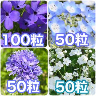 ❁ 花の種❁  4種セット(その他)