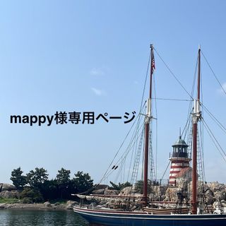 mappy様専用ページ(ネックレス)