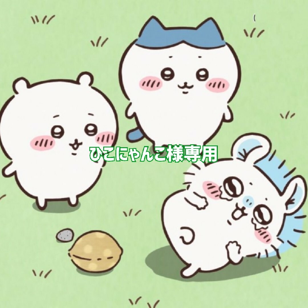 ひこにゃん様専用 | フリマアプリ ラクマ