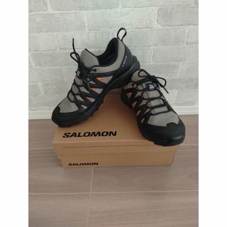 サロモン(SALOMON)のSALOMON　X BRAZE GTX　26cm(登山用品)