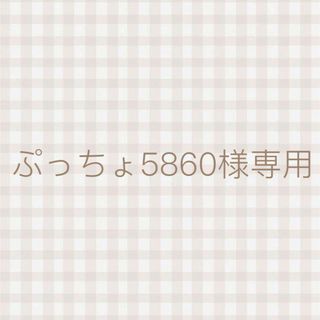 ぷっちょ5860様専用(ドライフラワー)