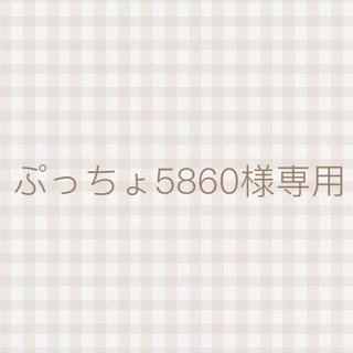 ぷっちょ5860様専用(ドライフラワー)