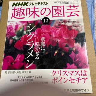 NHK 趣味の園芸 2008年 12月号