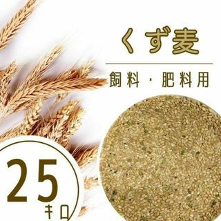 《数量限定》くず麦 袋込25kg 4年産 はだか麦 肥料 鳥の餌 飼料 福岡県産(米/穀物)