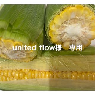 ゴールドラッシュ　トウモロコシ　訳あり(野菜)