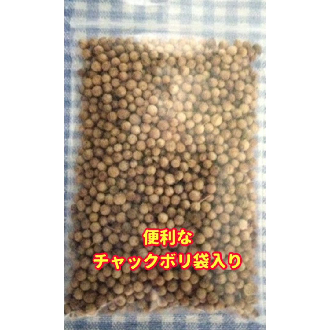 パクチー種22g【無農薬栽培の種】香りが強い品種、令和5年産・増量サービス 食品/飲料/酒の食品(野菜)の商品写真