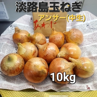淡路島玉ねぎ🧅アンサー(中生)10kg(野菜)