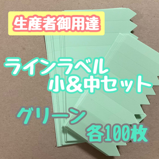 ラインラベル 小 中 緑セット 各100枚 園芸ラベル カラーラベル 多肉植物(プランター)