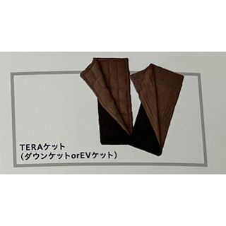 TERA EVケット www.krzysztofbialy.com