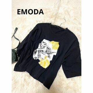 エモダ(EMODA)のEMODA エモダ　カットソー　プリントシャツ　ダメージデザイン　ゆったり(Tシャツ(半袖/袖なし))