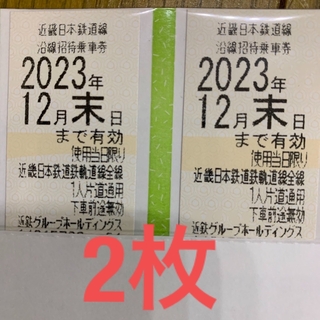 近鉄株主優待乗車券　2枚(鉄道乗車券)