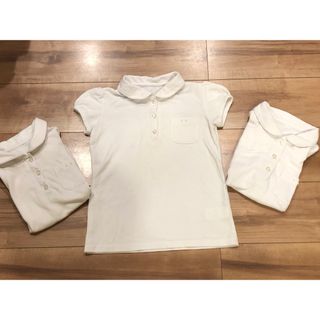 ベルメゾン(ベルメゾン)のベルメゾン　GITA ポロシャツ　3枚セット(Tシャツ/カットソー)