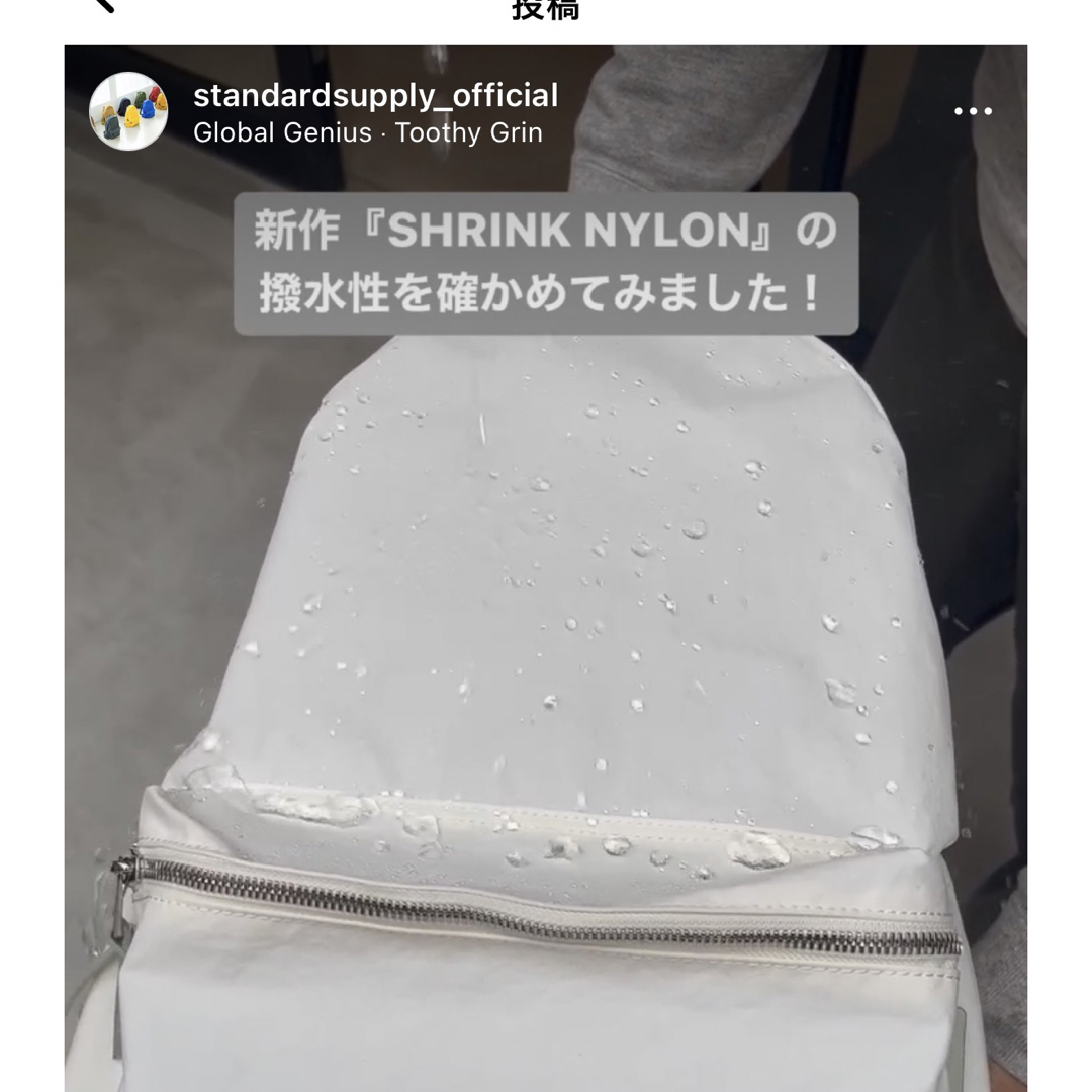 STANDARD SUPPLY(スタンダードサプライ)のスタンダードサプライ　ワラビー　SHRINK NYLON レディースのバッグ(リュック/バックパック)の商品写真