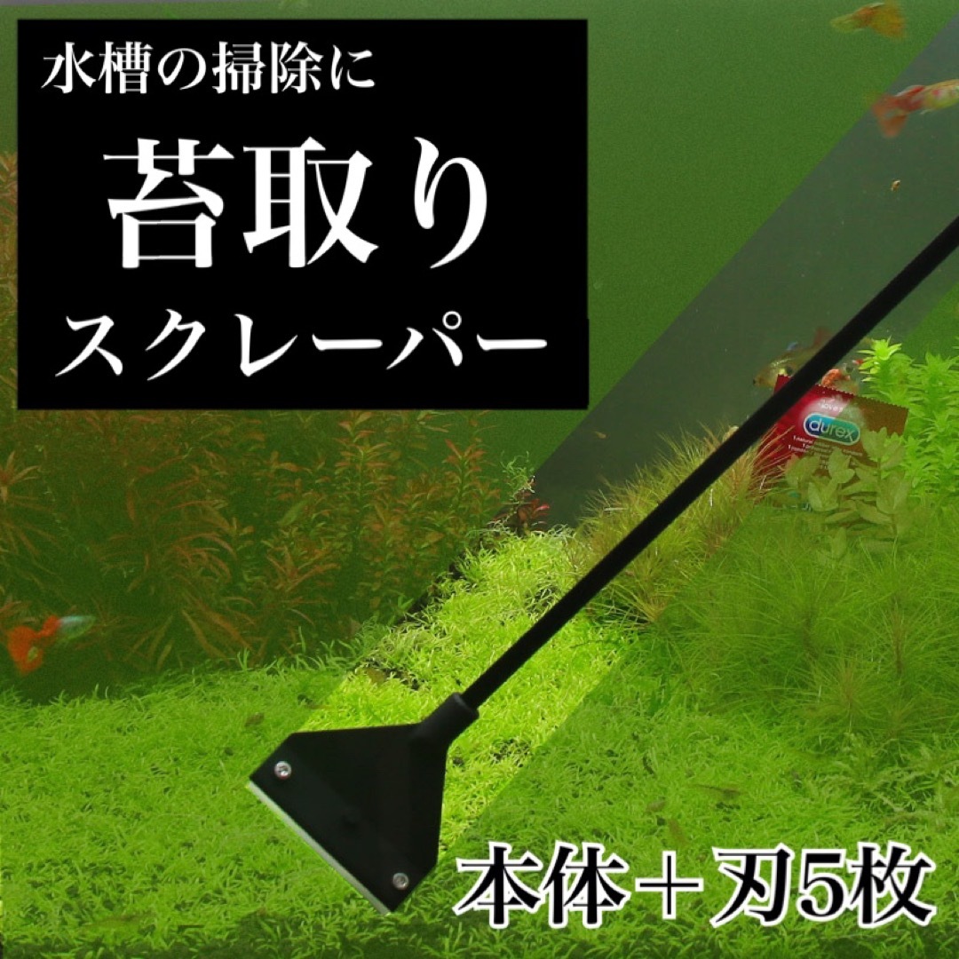 水槽 コケ取り スクレーパー 水槽 掃除 透明 簡単 アクア 替え刃 - 魚