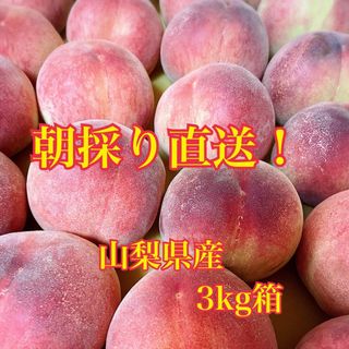 世界農業遺産に認定された山梨県笛吹市の桃 桃A(最高等級)5kg13個〜18