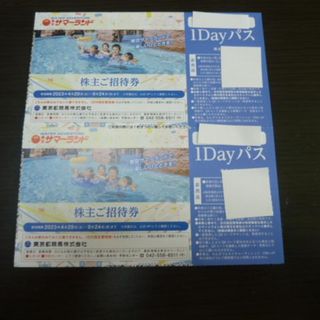 複数可2枚 東京サマーランド 株主ご招待券 1DAYパス株主優待券 フリーパス(遊園地/テーマパーク)