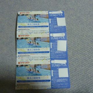 即日発送3枚 東京サマーランド 株主ご招待券 1DAYパス株主優待券 フリーパス(遊園地/テーマパーク)