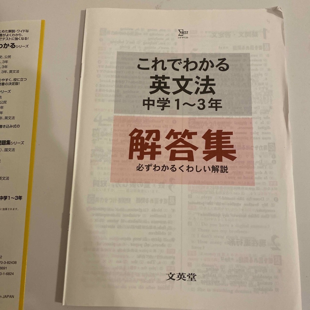 中学これでわかる英文法/文英堂