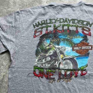 USA製 ビンテージ ハーレーダビッドソン Tシャツ LIVE TO RIDE