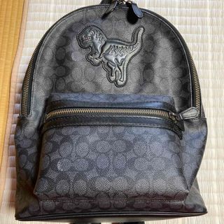熱販売 【希少】coach コーチ レザー×ナイロンコンビバックパック