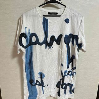 カルバンクライン(Calvin Klein)のカルヴァン・クライン　ティーシャツ(Tシャツ/カットソー(半袖/袖なし))